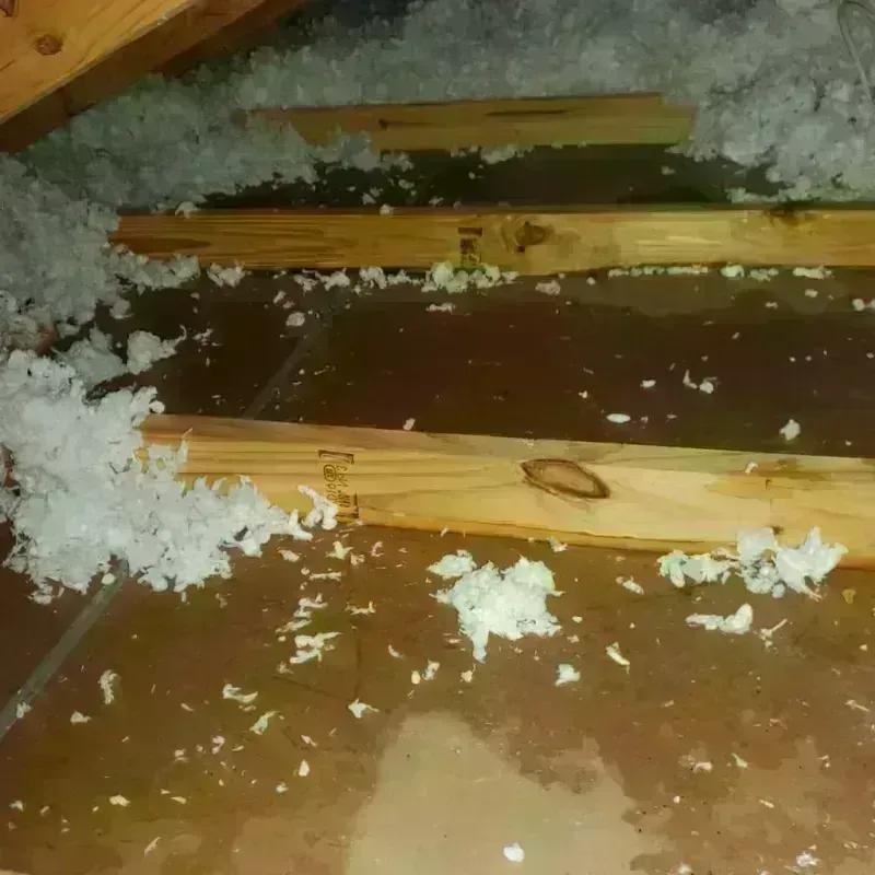 Attic Water Damage in Hueytown, AL