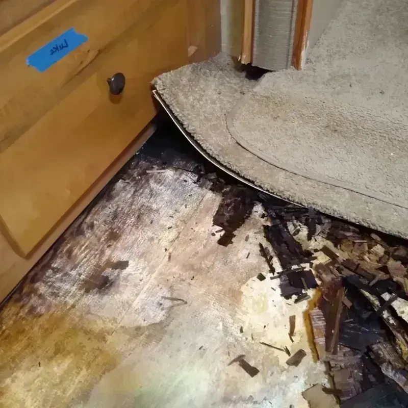 Best Wood Floor Water Damage Service in Hueytown, AL